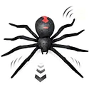 auto crawling spider